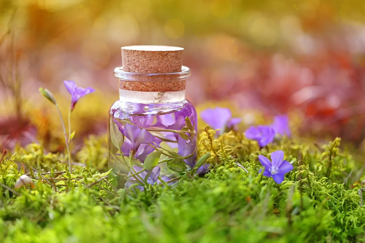 Health Potions vs Stamina Potions: Which to Stock for Long Boss Fights?